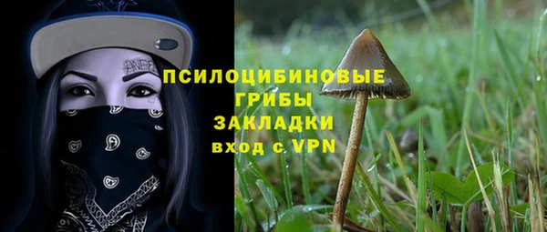 молекула духа Няндома