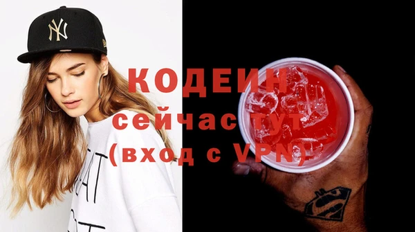 молекула духа Няндома