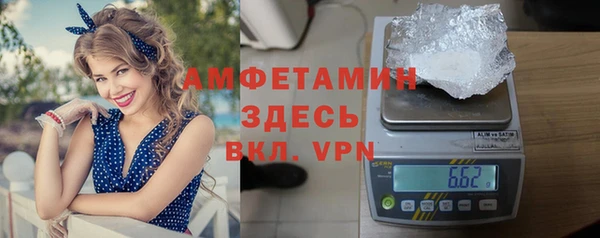 молекула духа Няндома