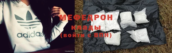 молекула духа Няндома