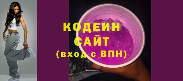 молекула духа Няндома
