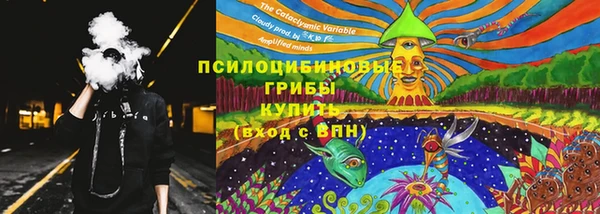 молекула духа Няндома