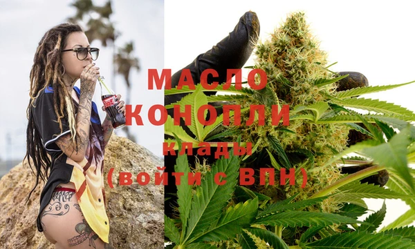 молекула духа Няндома