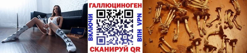 MEGA онион  Чехов  Галлюциногенные грибы Cubensis 